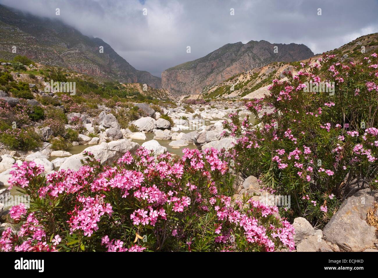 Morocco, Rif region, landscape Talassemtane National Park Stock Photo ...