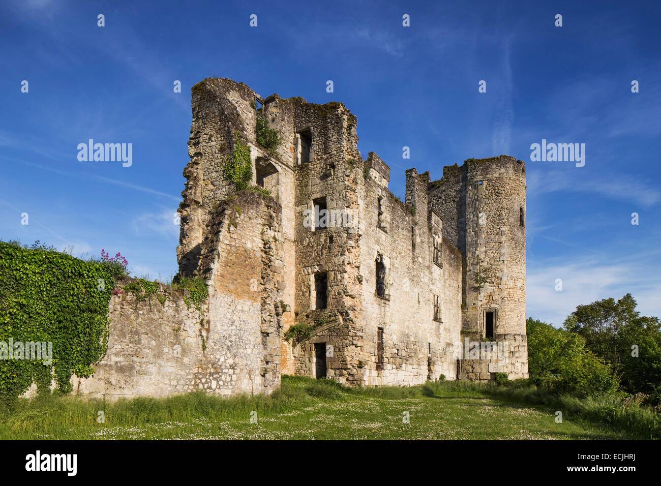 France, Dordogne, Perigord Blanc, ruins of Barriere Castle dated 13th century Stock Photo