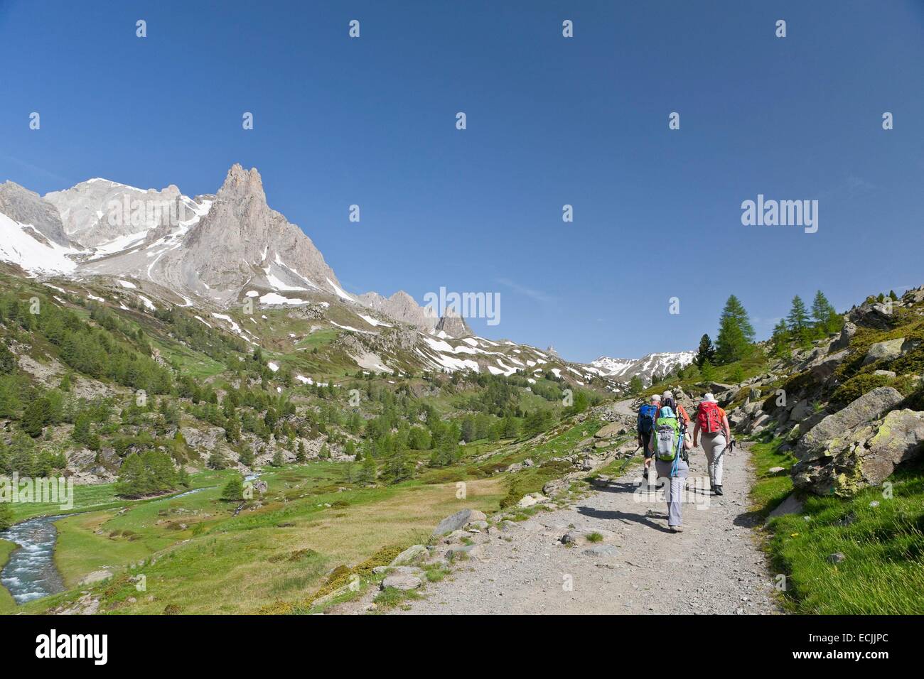 France, Hautes-Alpes, Nevache La Claree valley, overlooking the Pointe Cerces (3097m), hikers Stock Photo