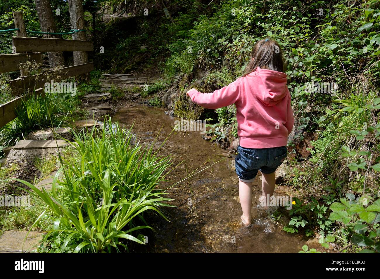 France, Vosges, La Bresse, outdoor activities Bol d Air, barefoot trail Stock Photo