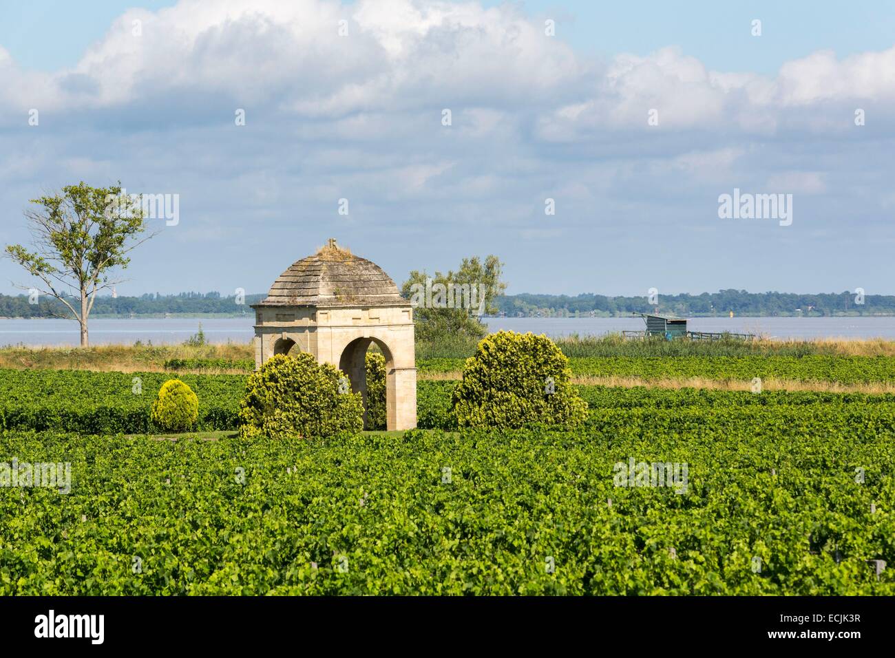 Gironde River Vineyard High Resolution Stock Photography and Images - Alamy