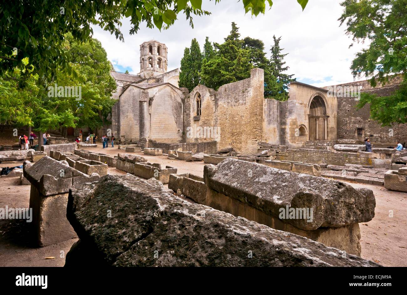 France, Bouches du Rhone, Arles, Les Alyscamps, historic cemetery of