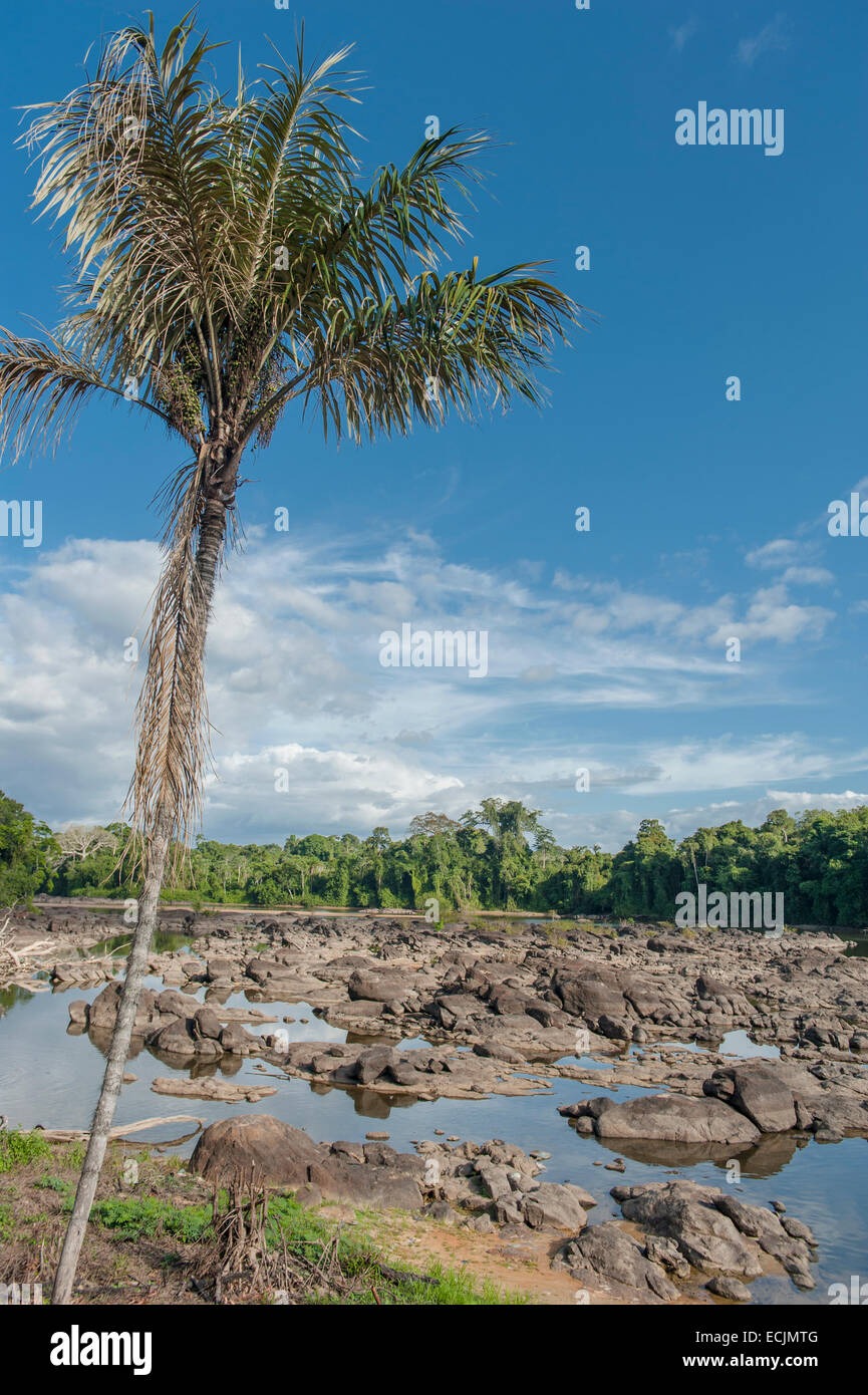Suriname River landscape with granite rock and unspoilt rain forest in Upper Suriname near Goejaba Stock Photo