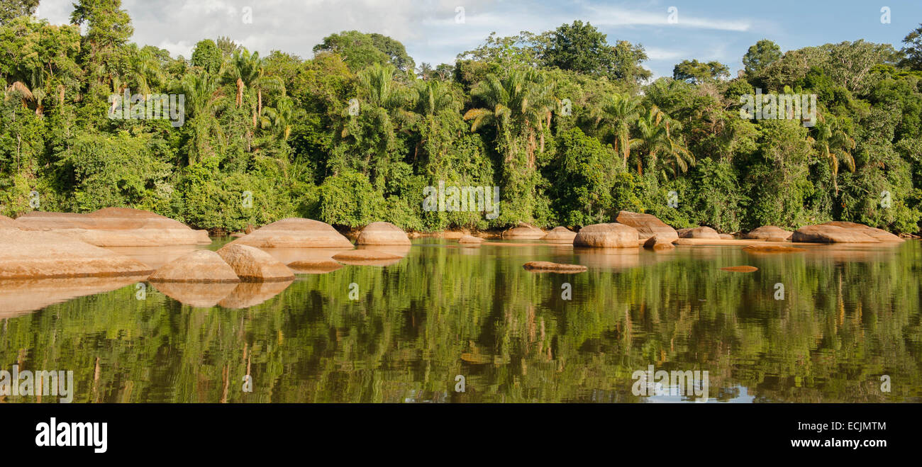Suriname River landscape with granite rock and unspoilt rain forest in Upper Suriname hear Goejaba Stock Photo