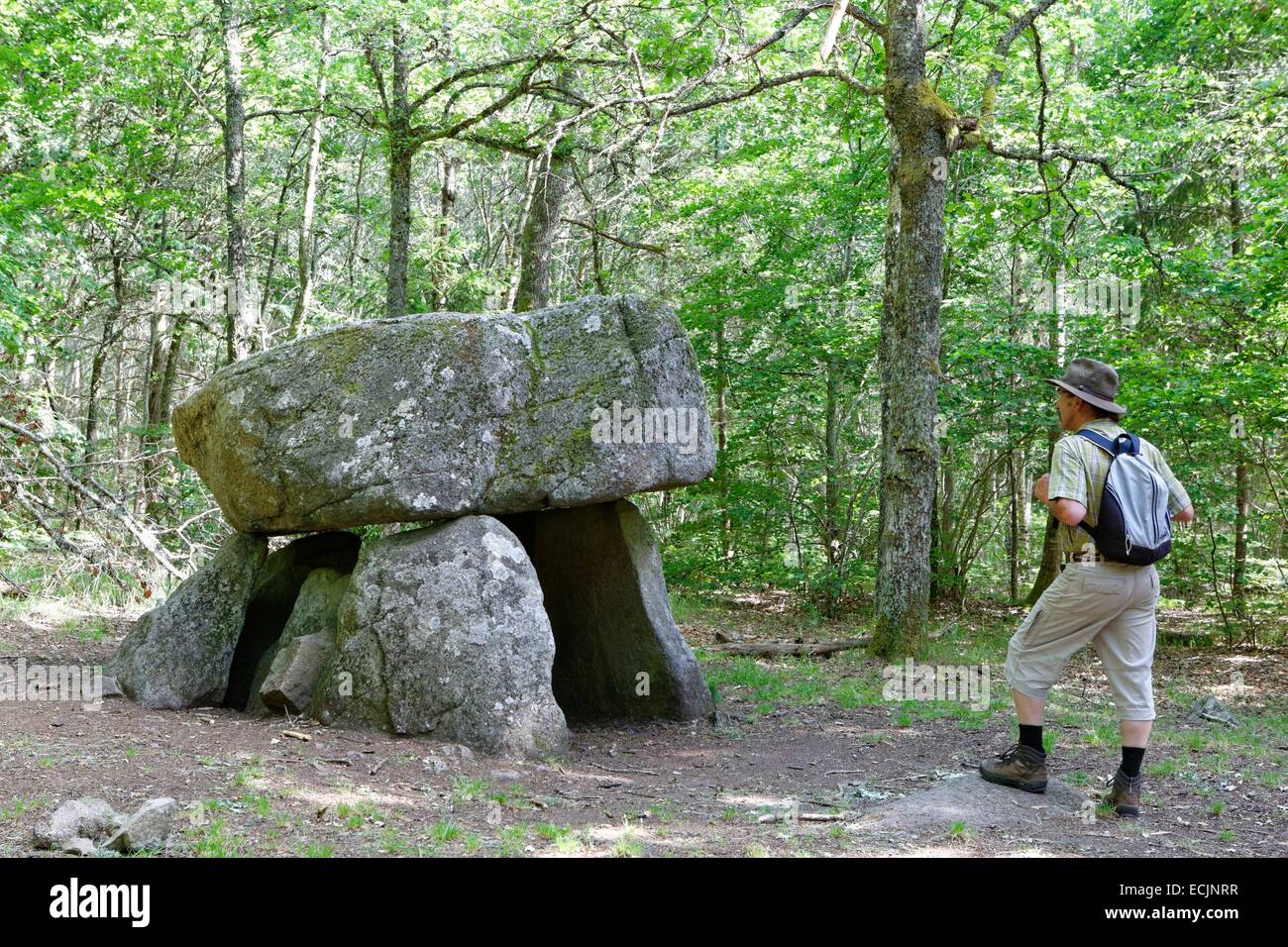 France, Creuse, Crocq, dolmen of Urb Stock Photo