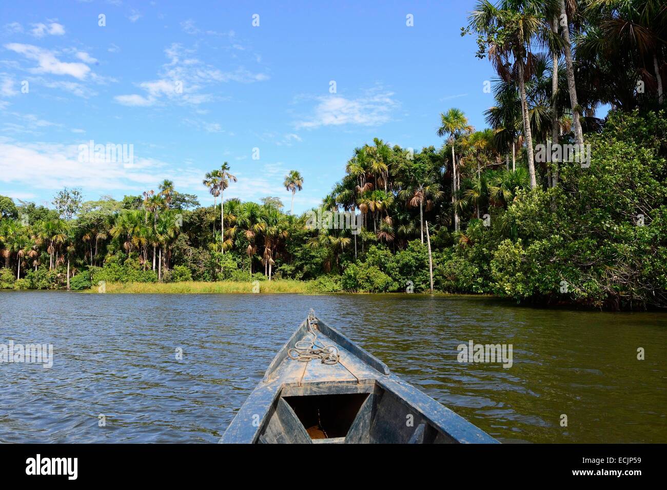 Puerto maldonado rainforest hi-res stock photography and images - Alamy
