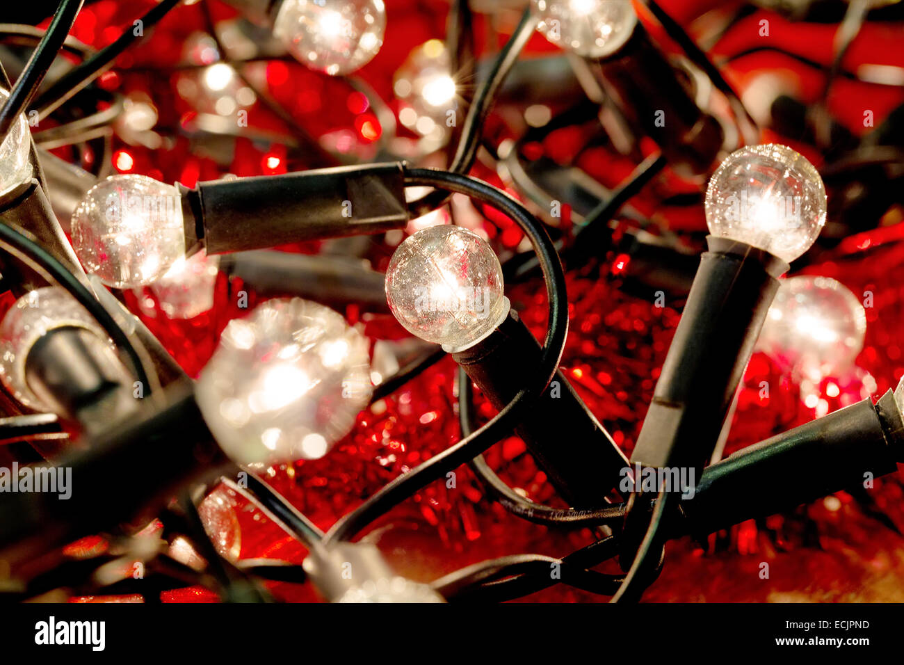 photo of white christmas lights background with shallow focus Stock