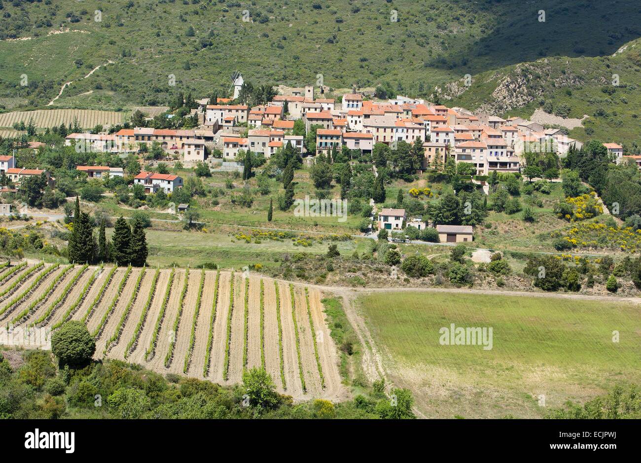 France, Aude, Cucugnan, general view of the village Stock Photo