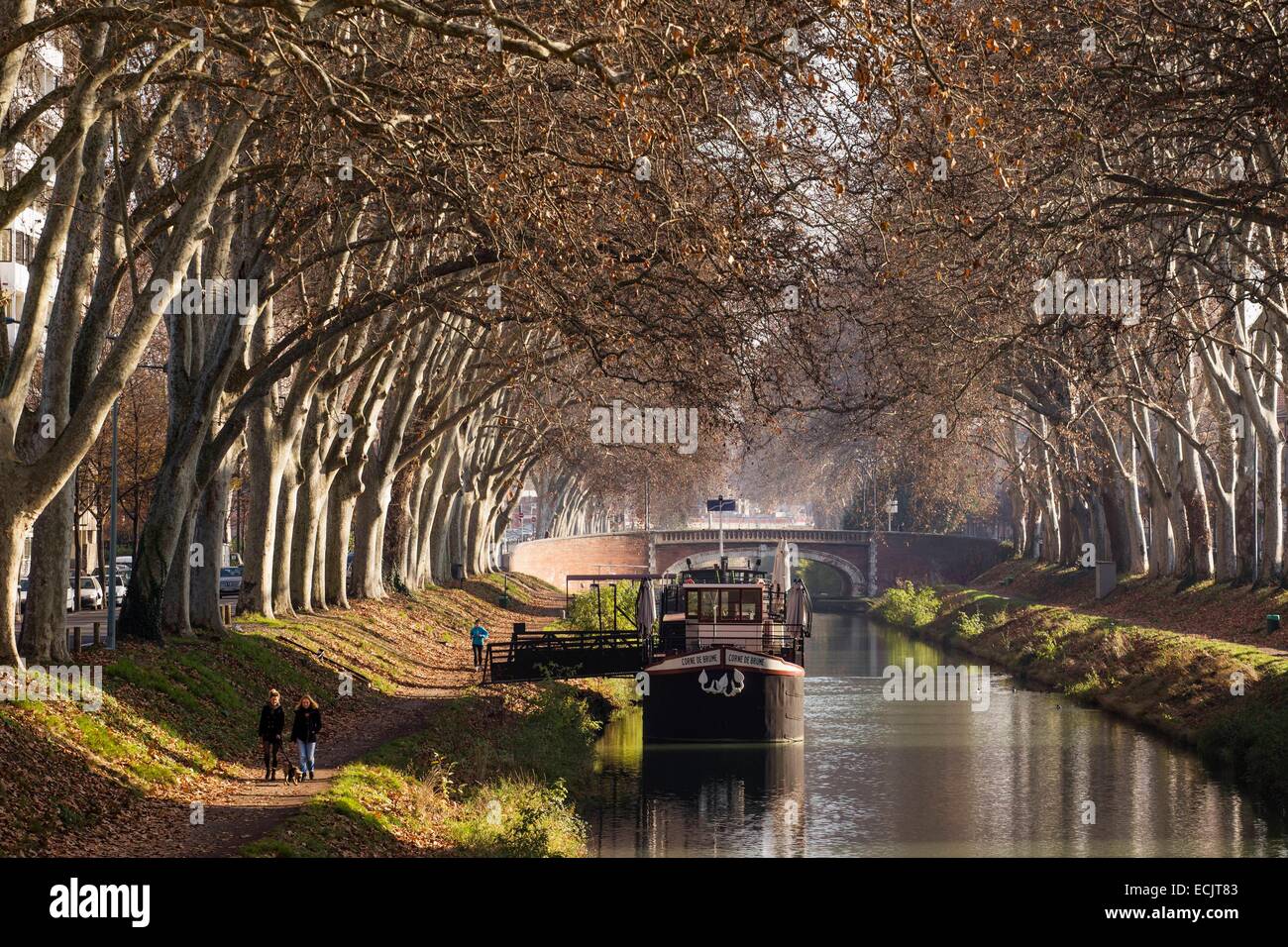 France, Haute Garonne, Toulouse, Canal de Brienne, Brienne channel is a channel that connects the Garonne and the Canal du Midi listed as World Heritage by UNESCO in Toulouse Stock Photo