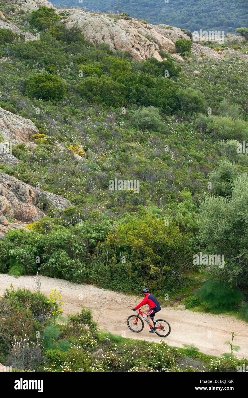 France, Haute Corse, Balagne, Agriates desert, Ostriconi valley, mountain bike tours Stock Photo