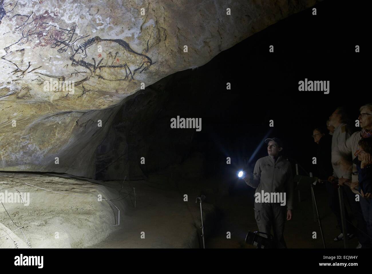 France, Ariege, Niaux Cave, Upper Paleolithic, Animal representations Magdalenian parietal, Guide illuminating an adorned wall Stock Photo