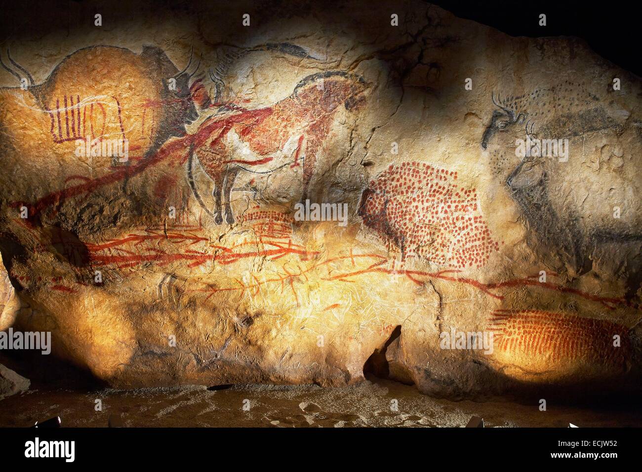 France, Ariege, Tarascon sur Ariege, Prehistoric Park, Museographic Area, Facsimile of the large panel of Marsoulas Cave in Haute Garonne Stock Photo