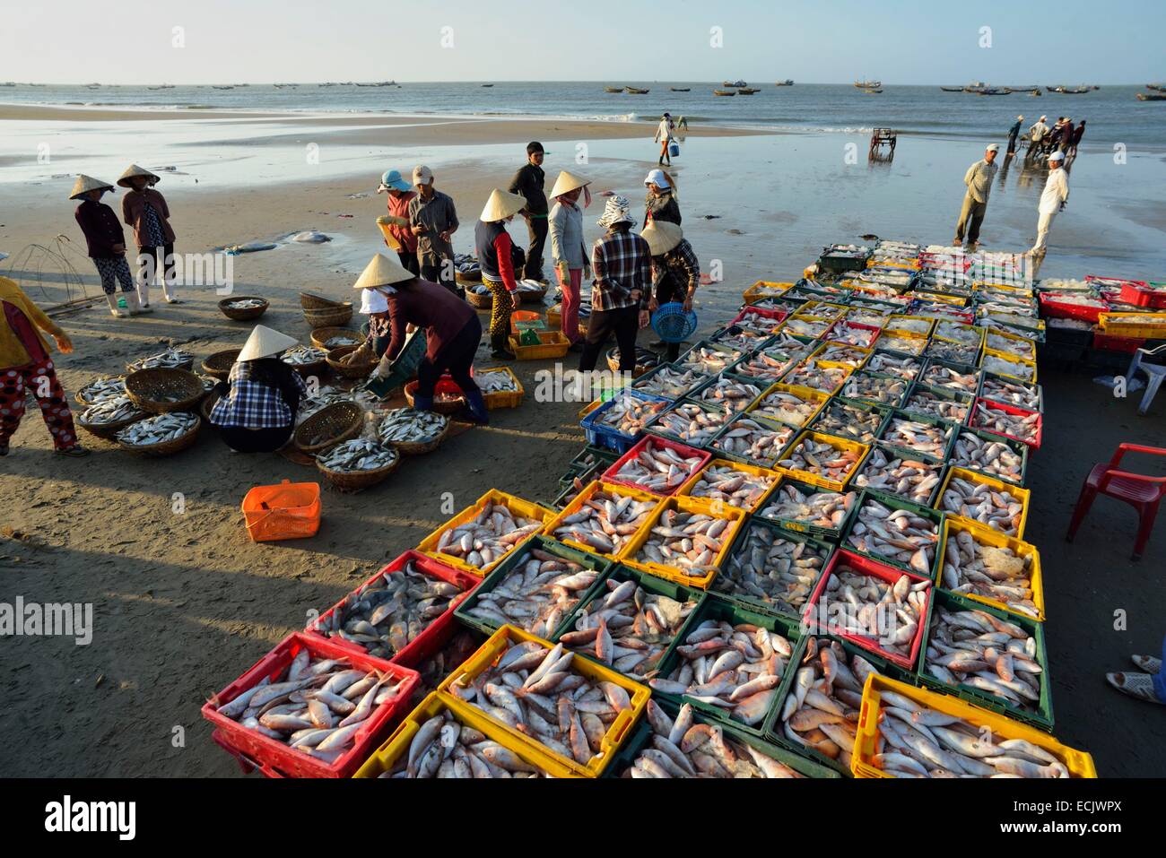 Vietnam, Ba Rai province, Long Hai, unloading fishing boats on the beach of Long Hai Stock Photo
