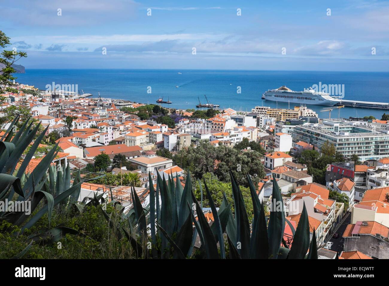 Chat funchal Chat funchal