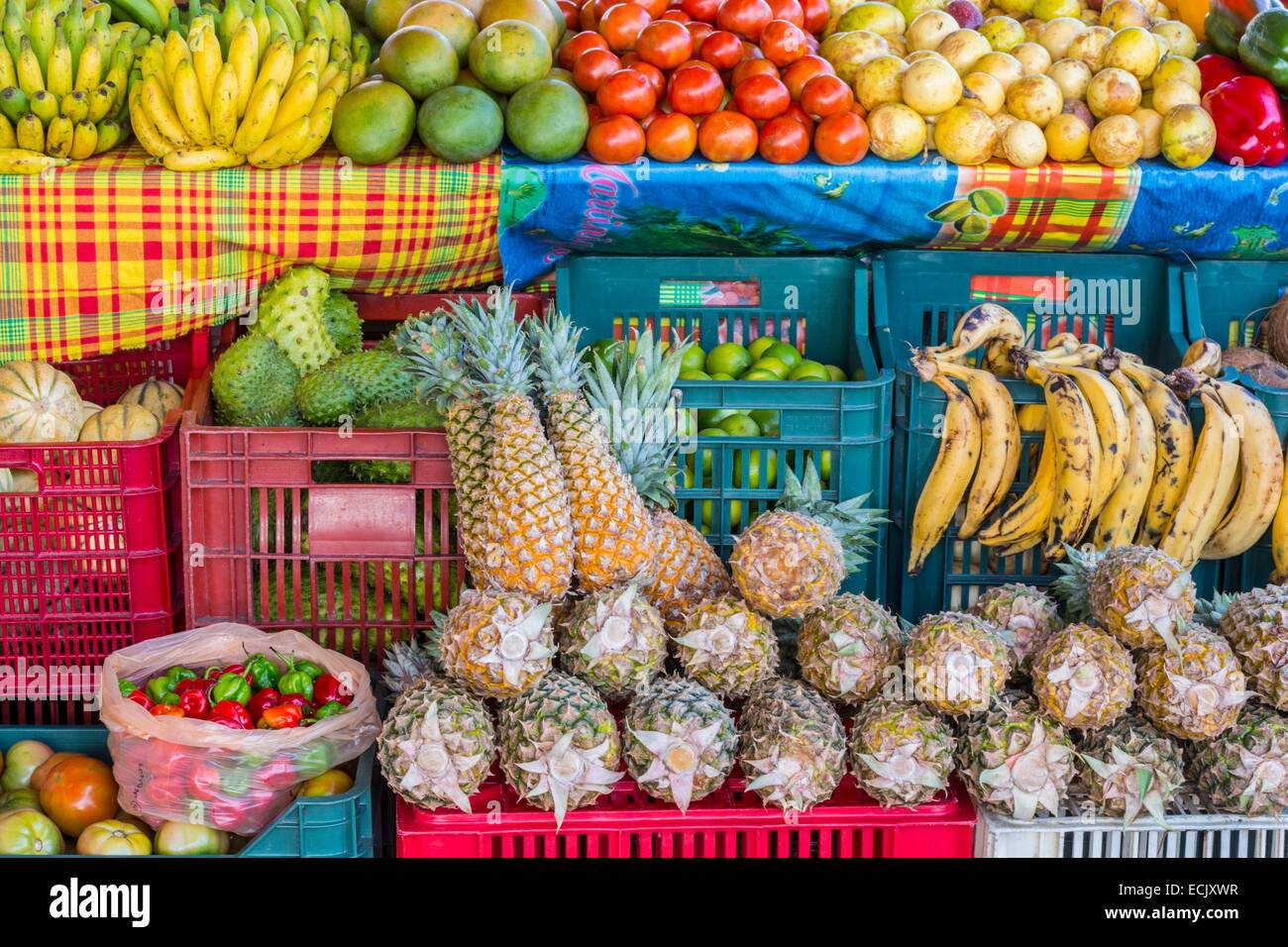 France, Guadeloupe (French West Indies), Grande Terre, Saint Francois