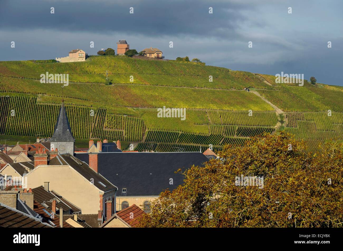 Parc naturel regional de la montagne de reims hires stock photography and images Alamy Parc naturel regional de la montagne de reims hires stock photography and images Alamy