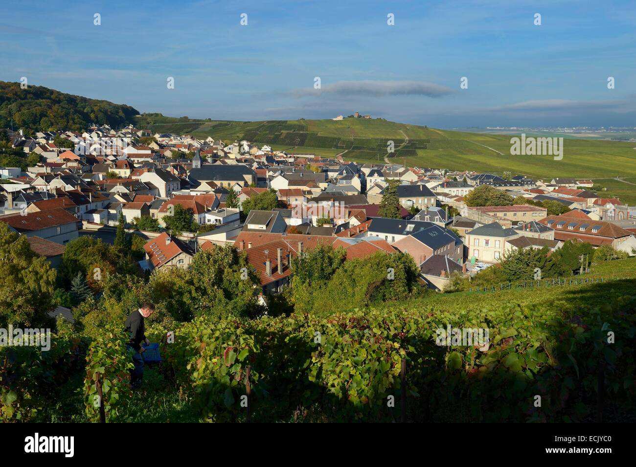 France, Marne, regional park of Montagne de Reims, Verzenay and its ...