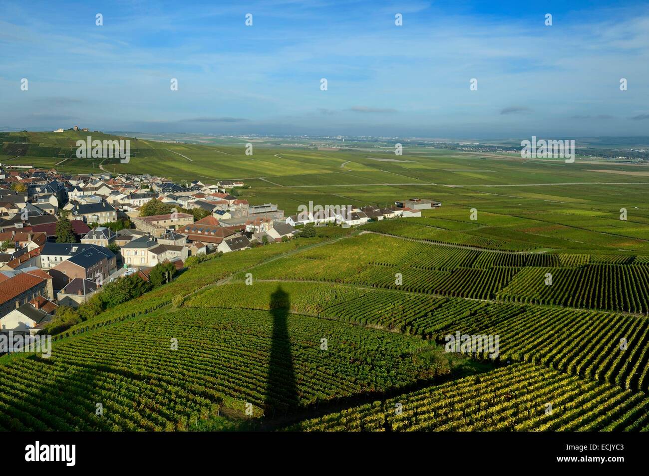 France, Marne, Parc Naturel de la Montagne de Reims (Natural Park of Montagne de Reims), Verzenay, Lighthouse's shadow of the wine museum overlooking the vineyards of Champagne Stock Photo