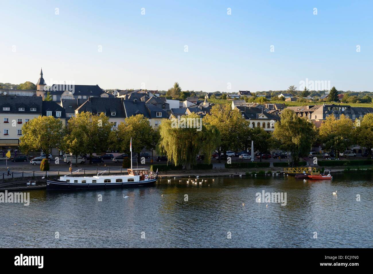 Luxembourg, Grevenmacher district, Moselle region, the Moselle River in Remich Stock Photo