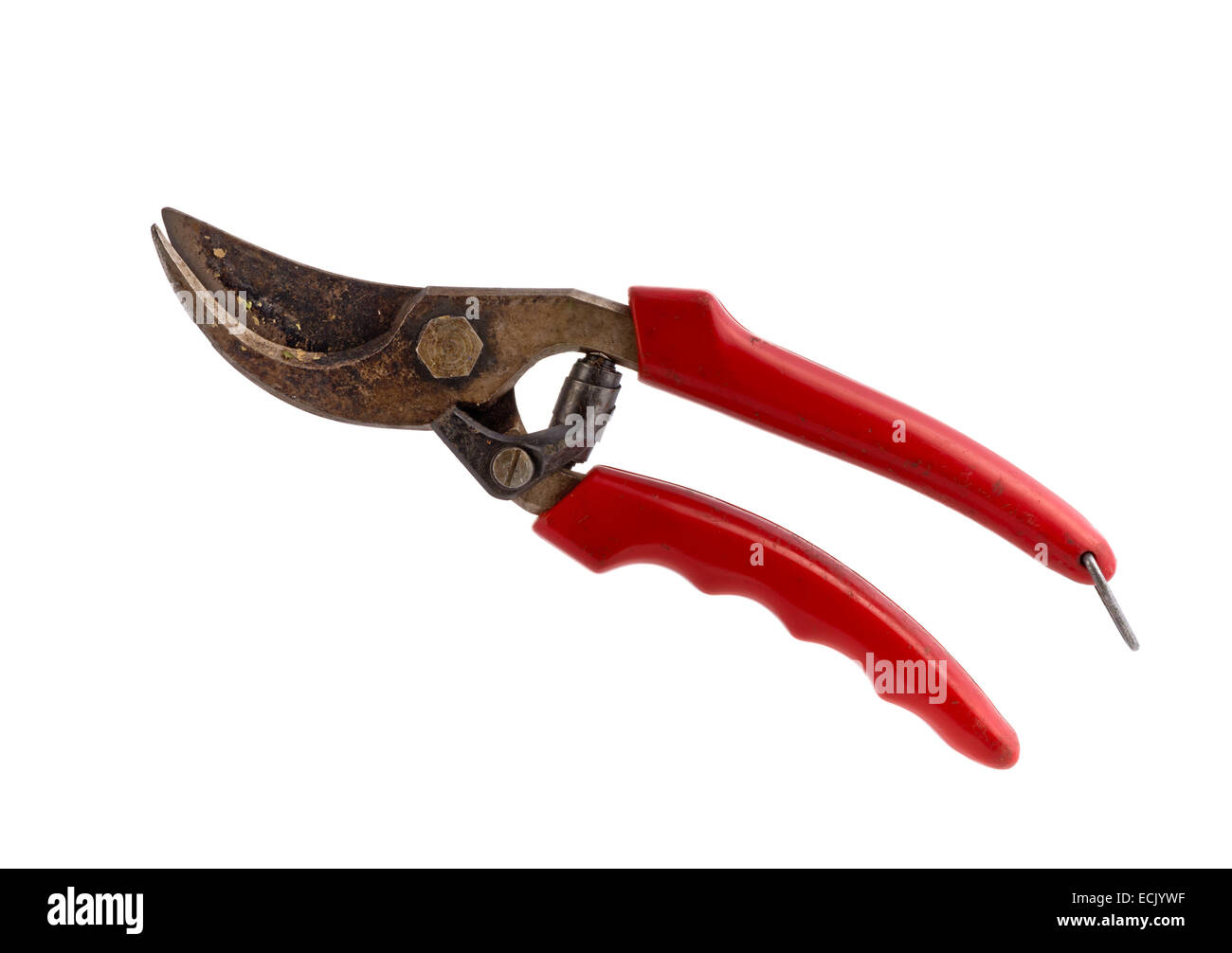 old pruning shears isolated on the white Stock Photo