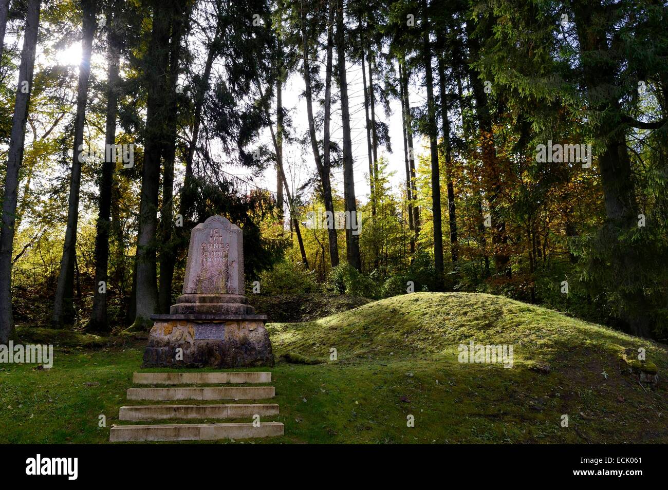 France, Meuse, Verdun region, battle of Verdun, the village of Ornes classified as mort pour la France (dead for France) is part of French villages destroyed in the First World War, the stele Stock Photo