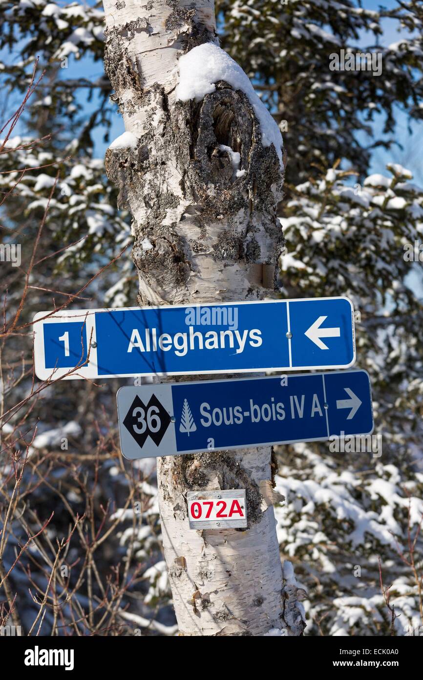 Canada, Quebec province, the region of the Eastern Townships, the village of Sutton, the ski resort, the ski boards Stock Photo