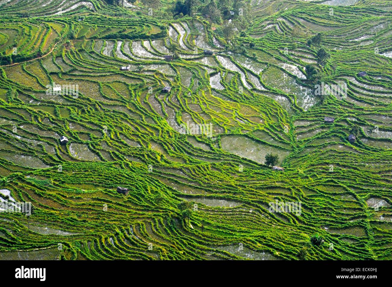China, Yunnan Province, Yuanyang rice terraces Stock Photo