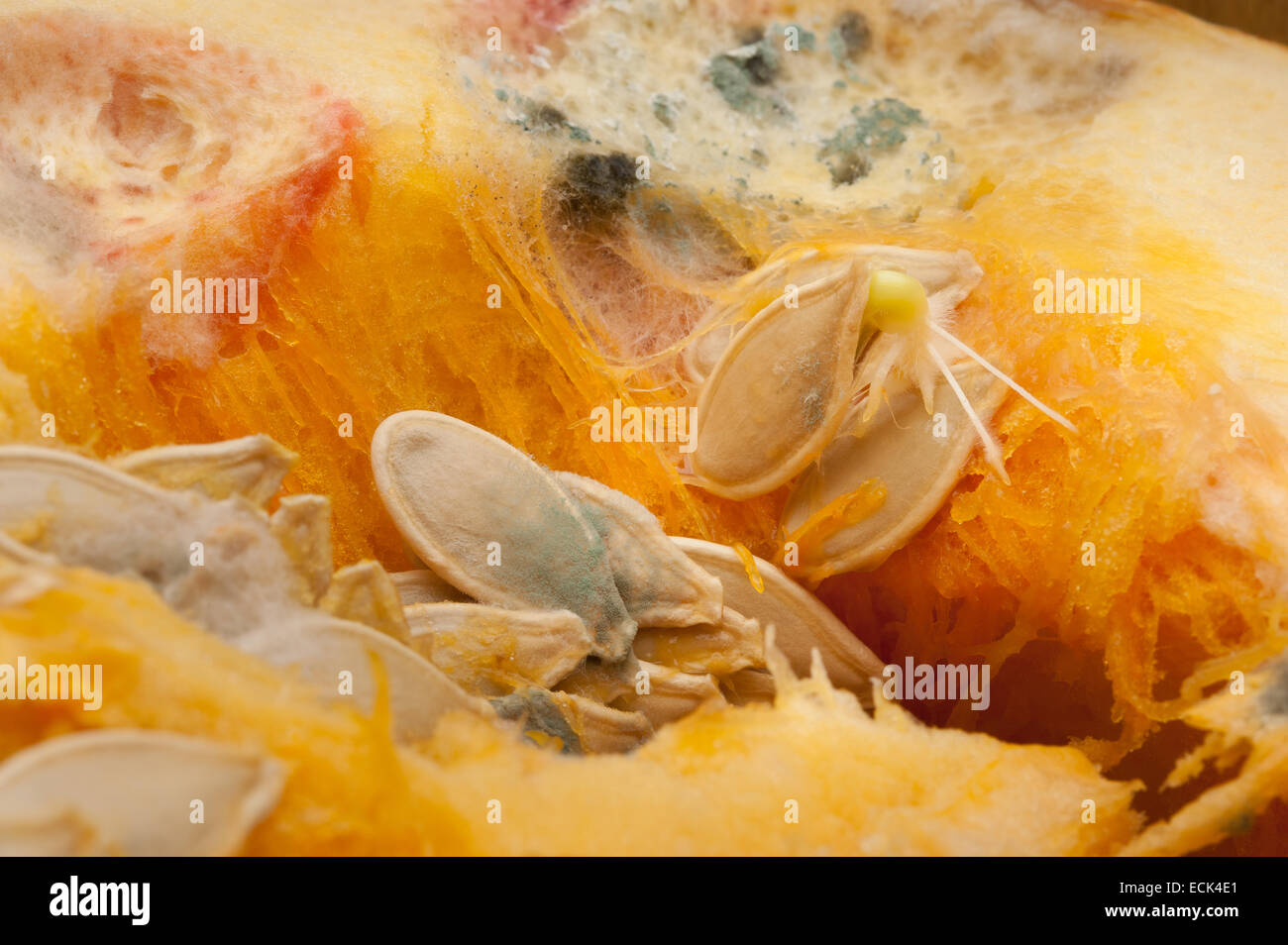 Fruit Going Bad High Resolution Stock Photography And Images Alamy