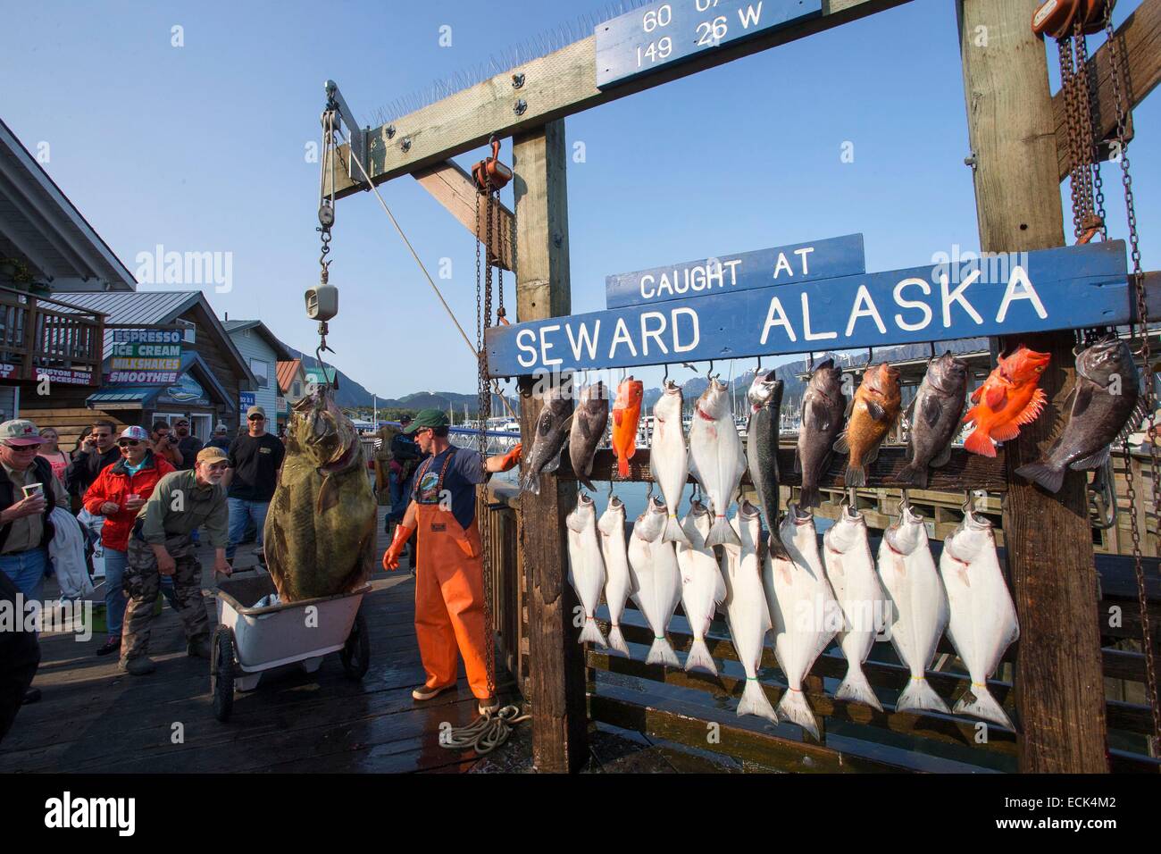 United States, Alaska, Kenai Peninsula, Seward, HarbourTable of fishing