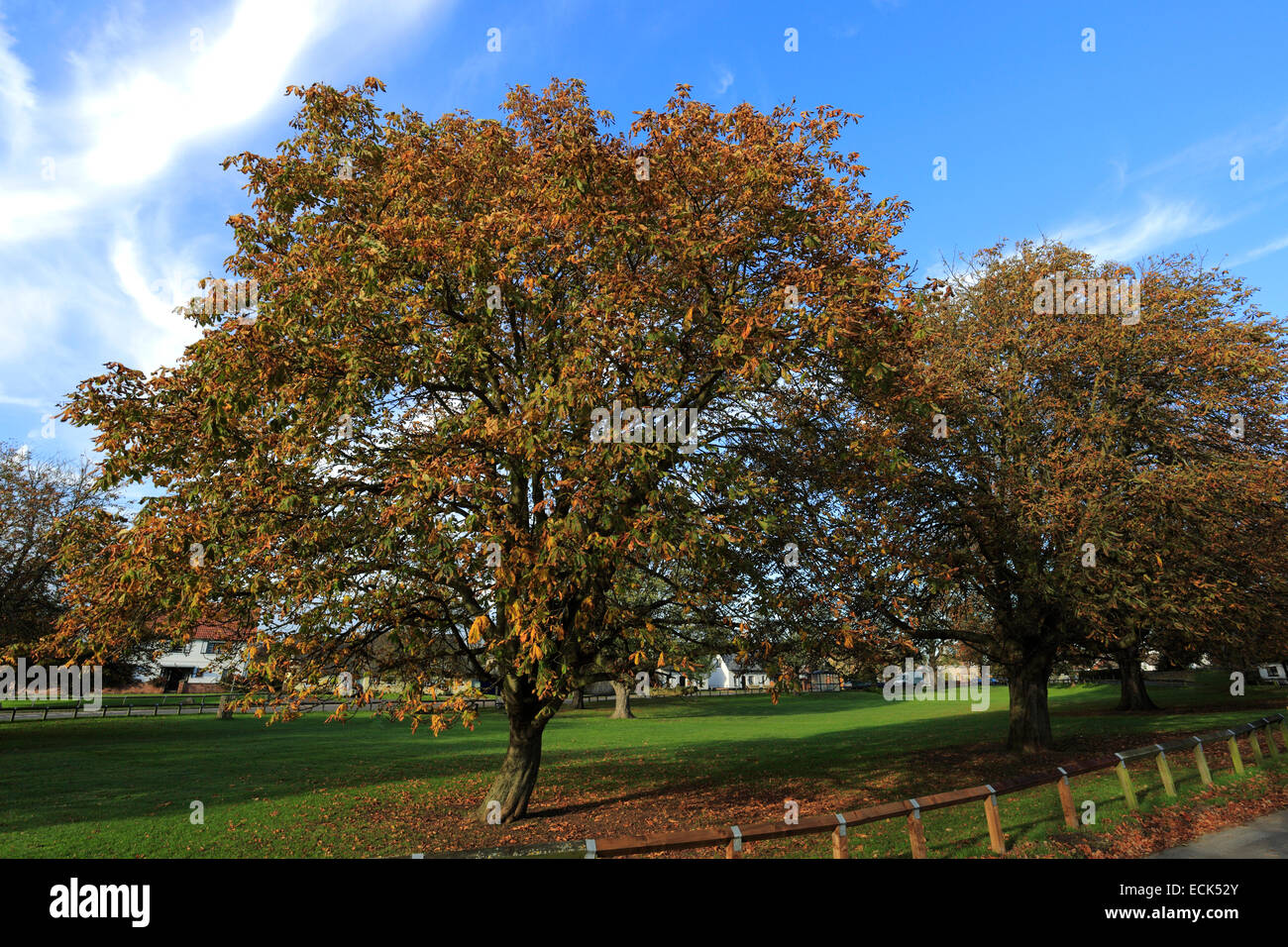 Brampton village green hires stock photography and images Alamy