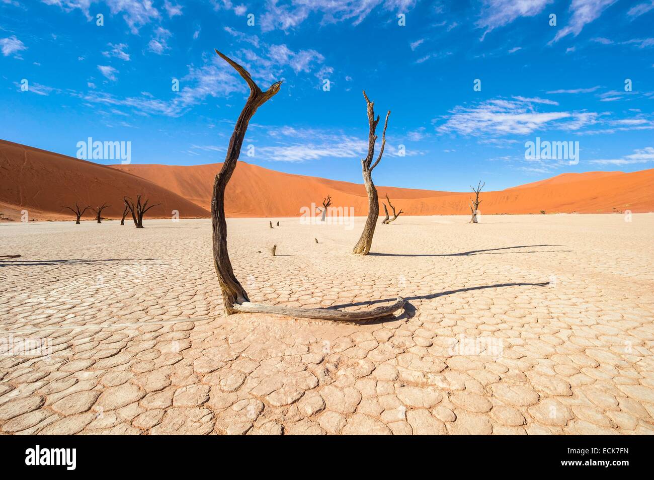 Namibia, Hardap region, Namib desert, Namib-Naukluft national park, Namib Sand Sea listed as World Heritage by UNESCO, Sossusvlei dunes, Dead Vlei Stock Photo