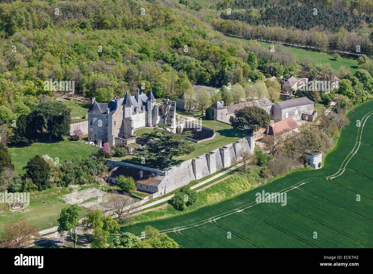 France, Vienne, Vouneuil sur Vienne, le Fou castle (aerial view) Stock Photo
