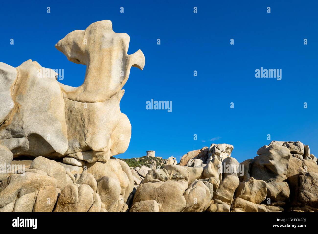 France, Corse-du-Sud, Belvedere-Campomoro, Campomoro-Senetosa preserved natural site, Campomoro genoese tower Stock Photo