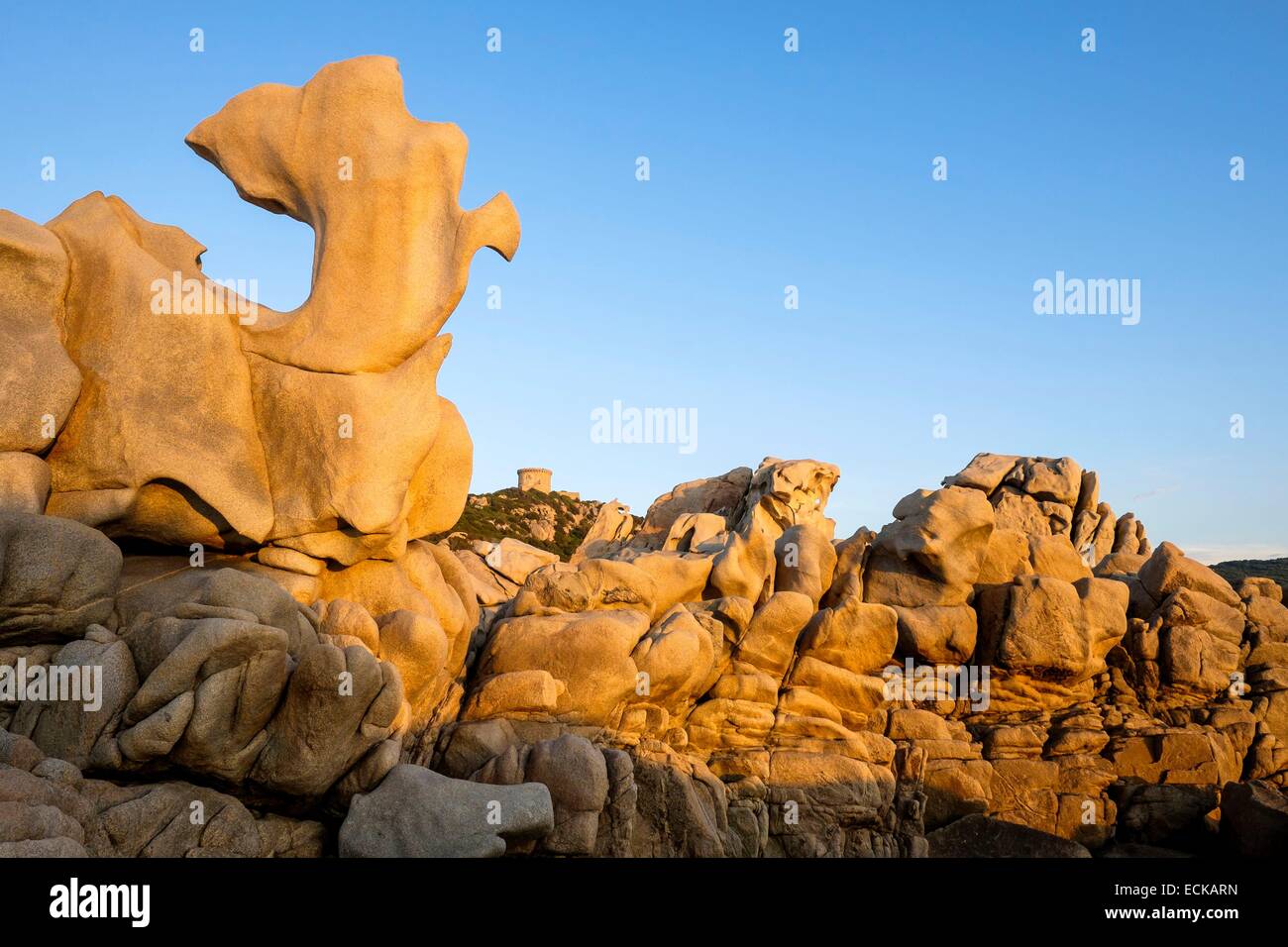 France, Corse-du-Sud, Belvedere-Campomoro, Campomoro-Senetosa preserved natural site, Campomoro genoese tower Stock Photo