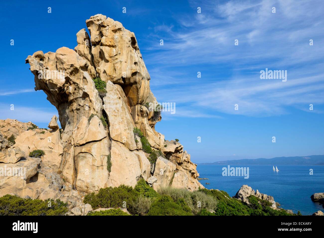 France, Corse-du-Sud, Belvedere-Campomoro, Campomoro-Senetosa preserved natural site Stock Photo