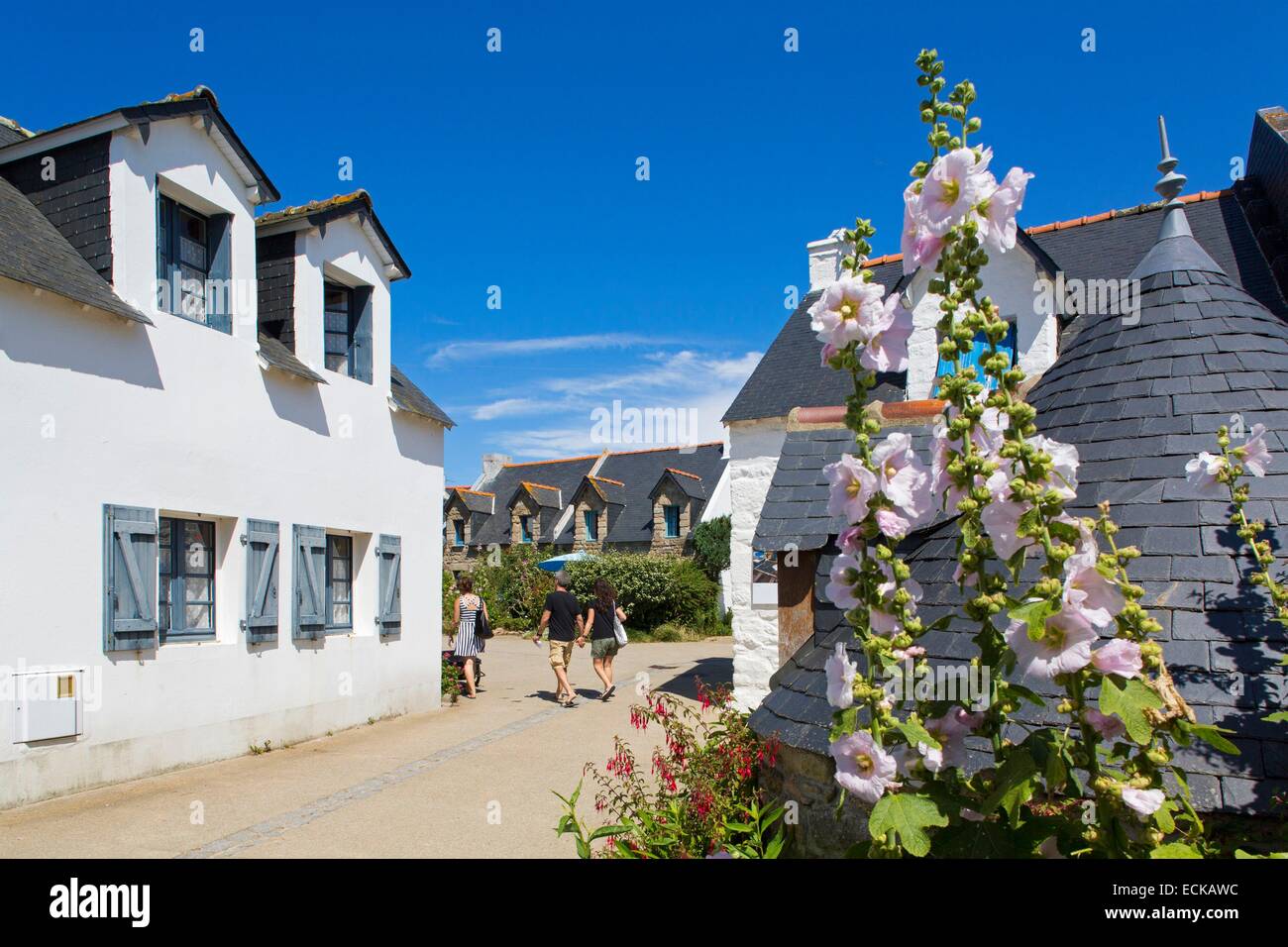 France, Morbihan, the Gulf of Morbihan, the Ponant islands, the island of Houat, the village Stock Photo
