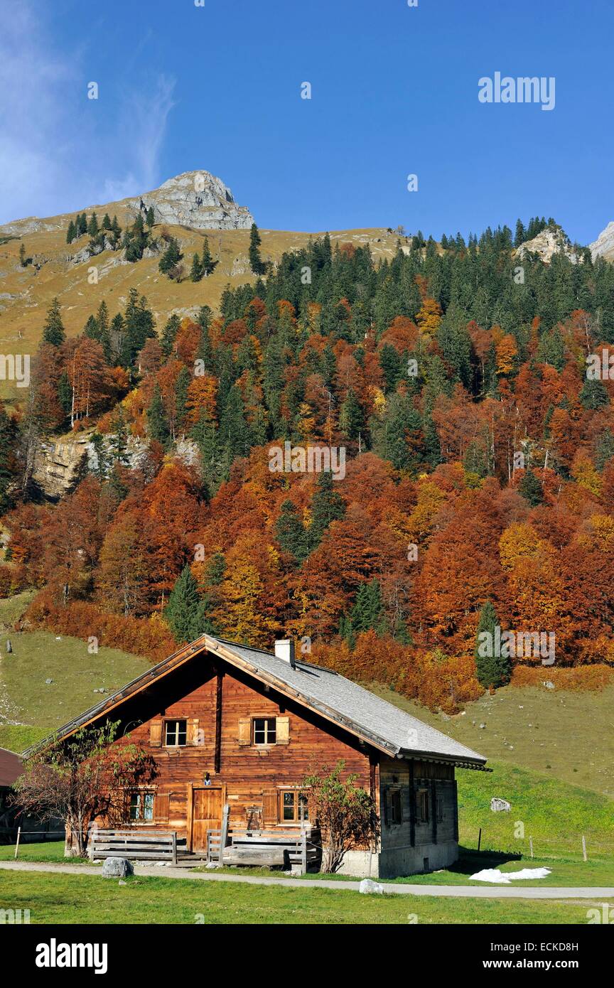 Austria, Tyrol, Karwendel, Grosser Ahornboden, Eng Alm Stock Photo - Alamy
