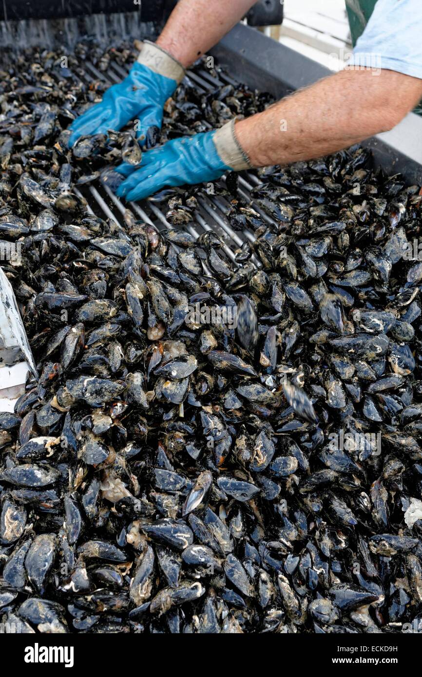 Italy, Venice, listed as World Heritage by UNESCO, island of