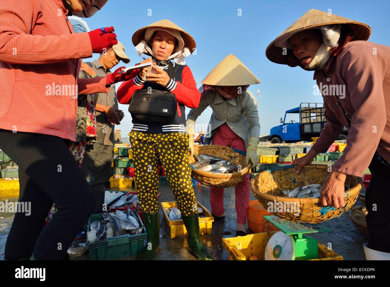 Vietnam, Ba Ria province, Long Hai, unloading fishing boats on the beach of Long Hai Stock Photo