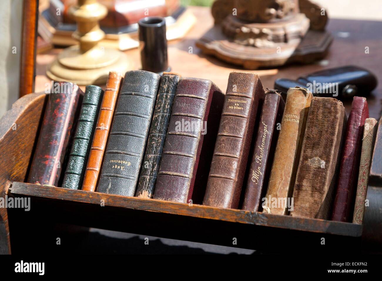 Belgium, Flanders, Limbourg Province, historic city of Tongeren (Tongres), antique flea market, old books Stock Photo