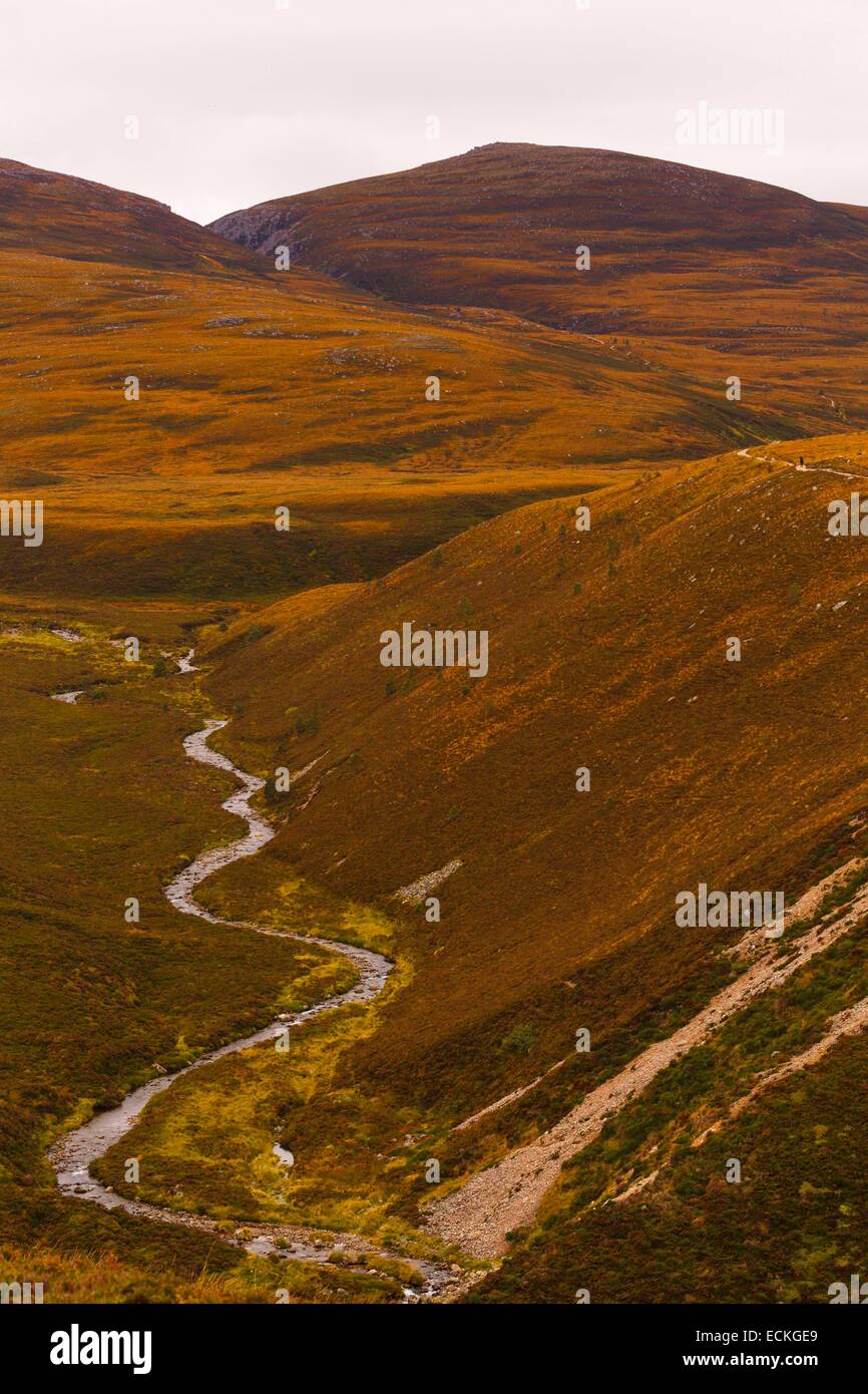 United Kingdom, Scotland, Cairngorms National Park, Cairngorm Mountains