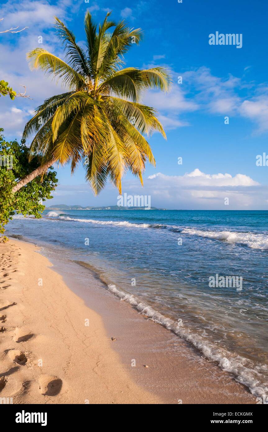 France Martinique Beach At West Side Of Sainte Luce Stock