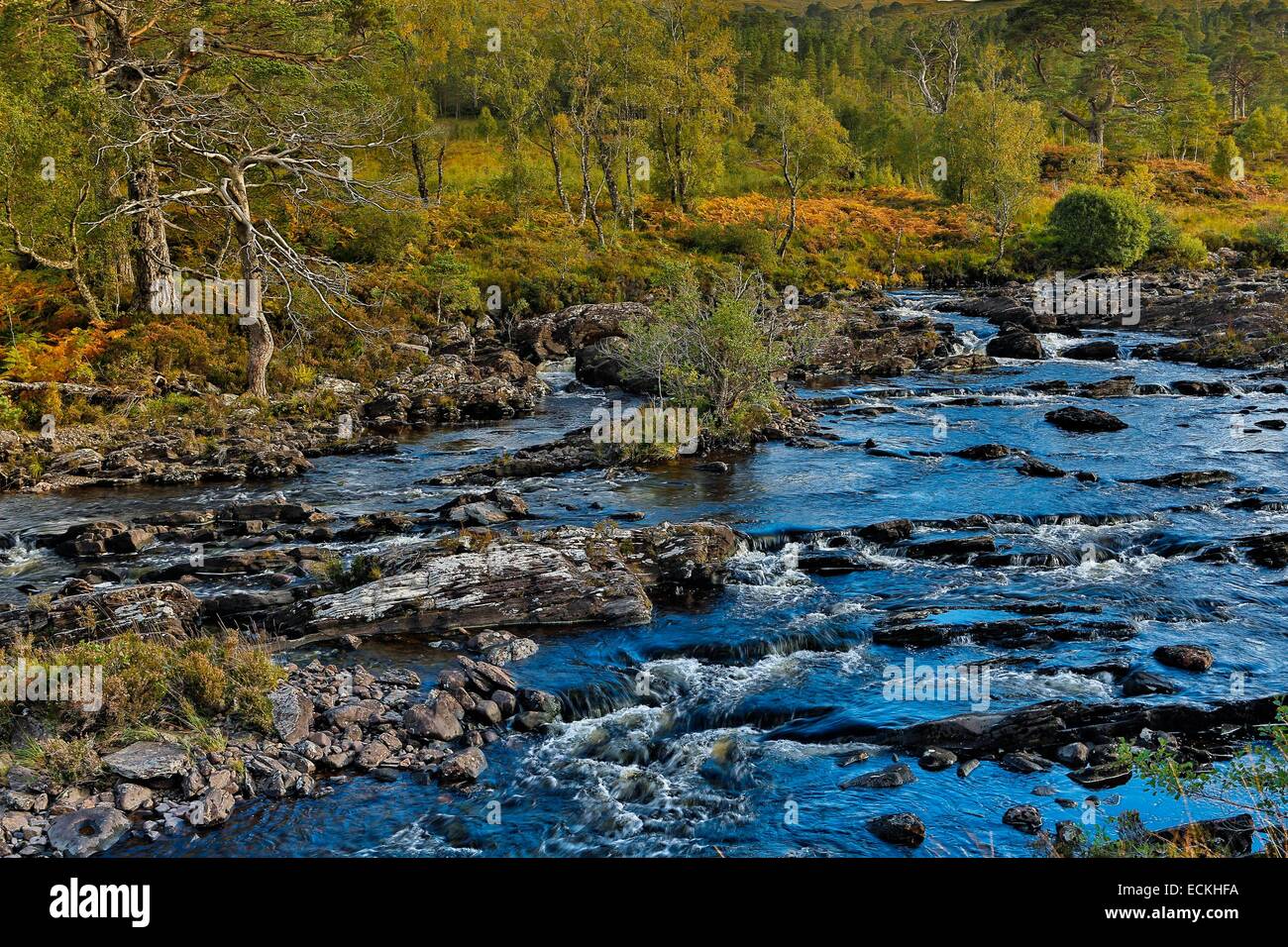 United Kingdom, Scotland, Wester Ross, Glen Torridon, salmon river through a wild heath Stock Photo