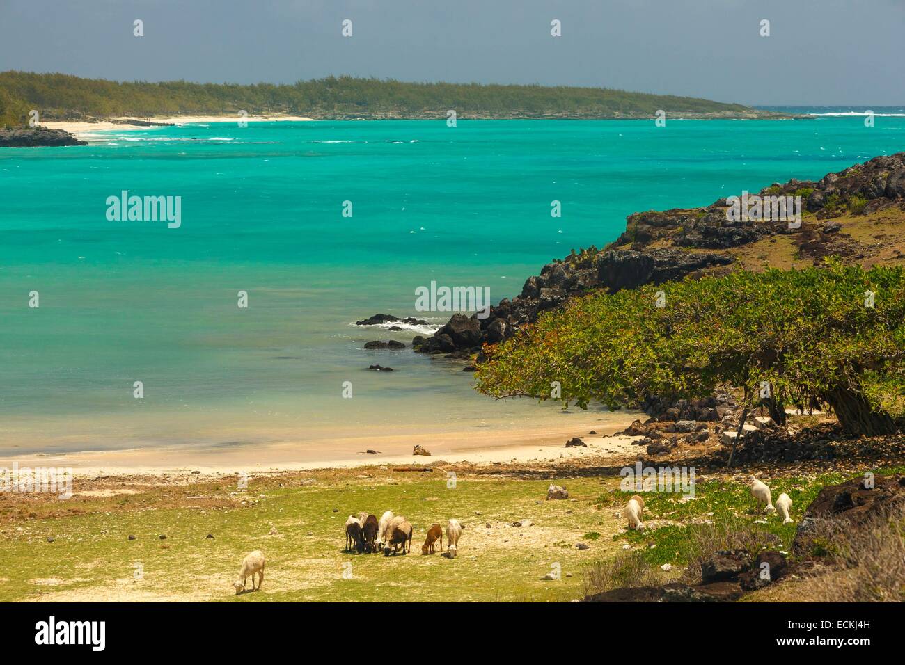 Mauritius, Rodrigues Island, Saint Francois, Baie Est, horizontal view