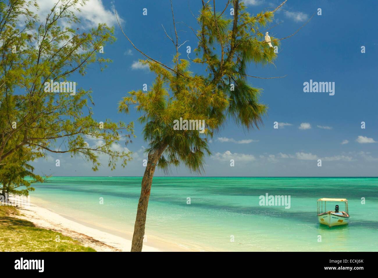 Mauritius, Rodrigues Island, ile aux Cocos (Cocos island), beach lagoon