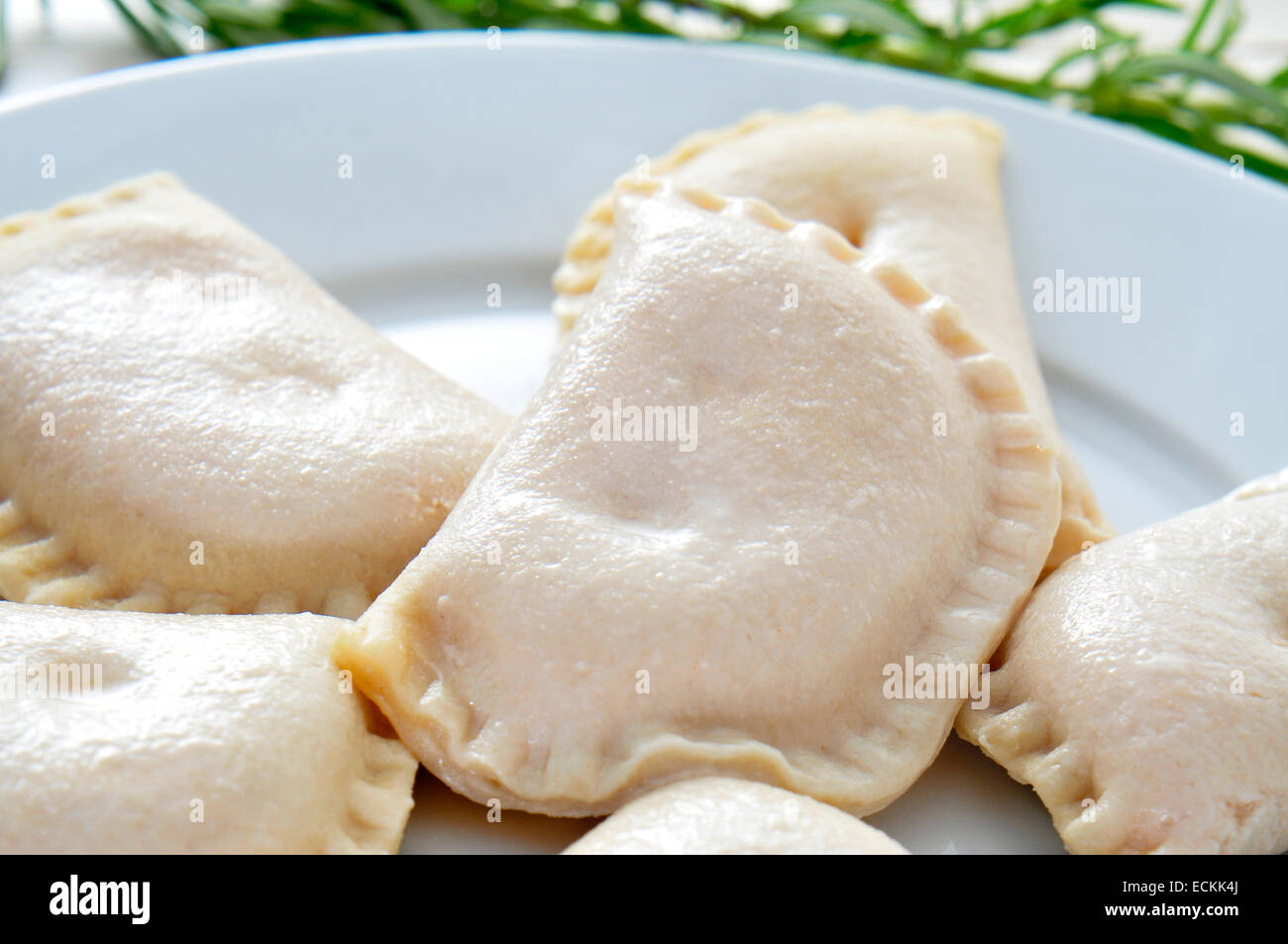 closeup of a plate with some uncooked spanish empanadillas, small meat or tuna pies Stock Photo