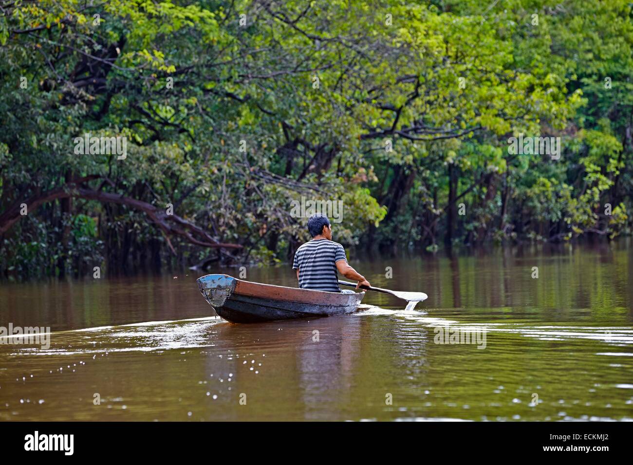 Brazil Amazonas State Amazon River Basin Indian Of The Apurina Tribe Fisherman Going To Look After The Fishnet Stock Photo Alamy Brazil Amazonas State Amazon River Basin Indian Of The Apurina Tribe Fisherman Going To Look After The Fishnet Stock Photo Alamy