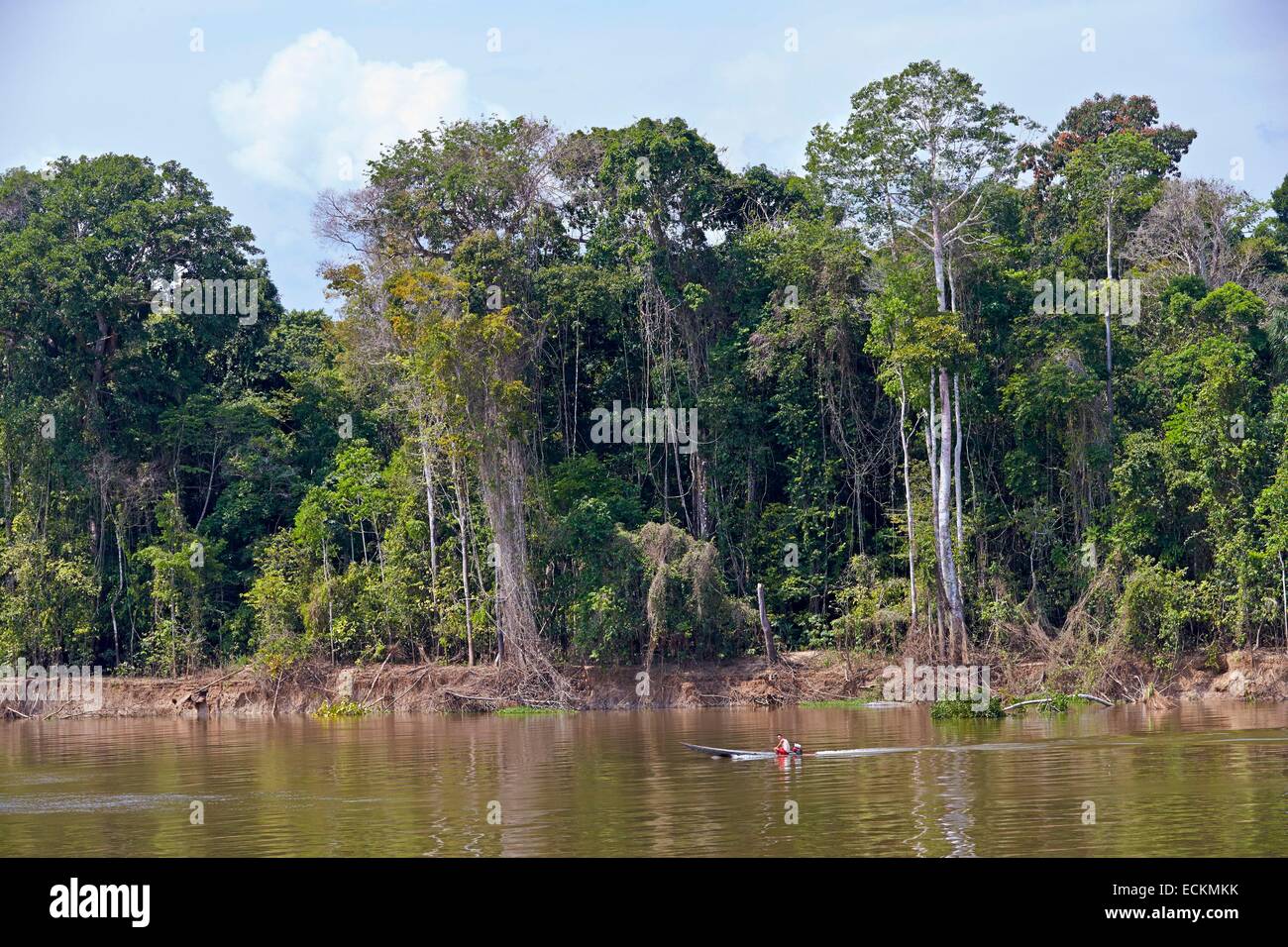 Flooded forest amazon brazil hires stock photography and images Alamy
