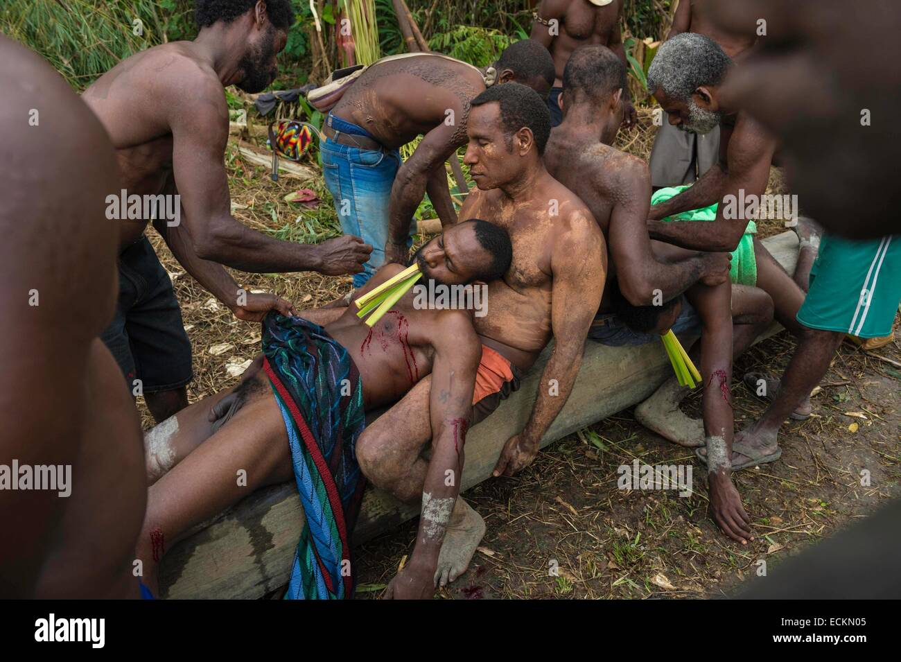 Papua New Guinea, East Sepik province, Sepik river region, scarification ceremony in crocodile man Stock Photo