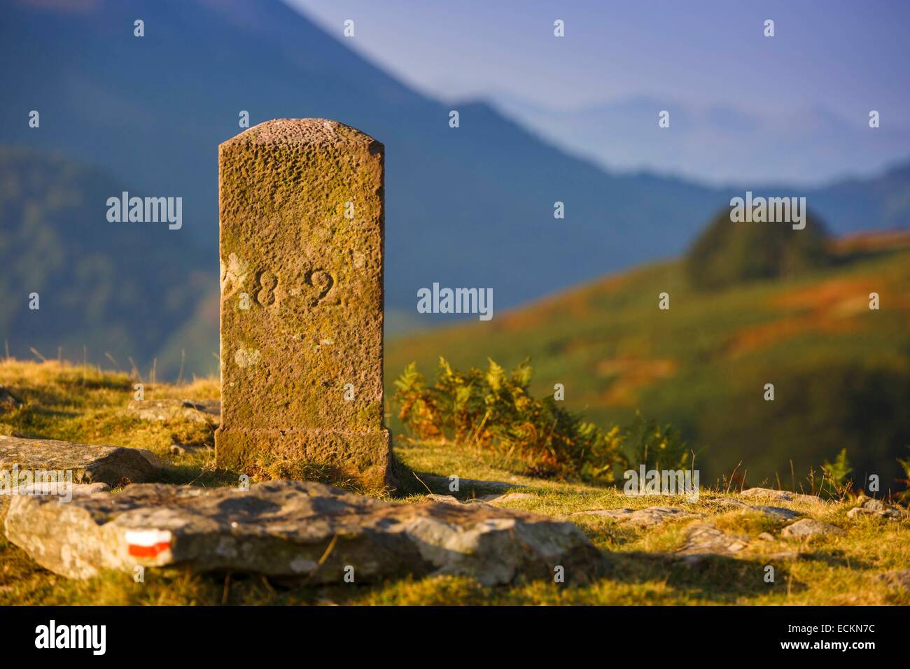 France, Pyrenees Atlantiques, Basque Country, Itxassou, Artzamendi ...